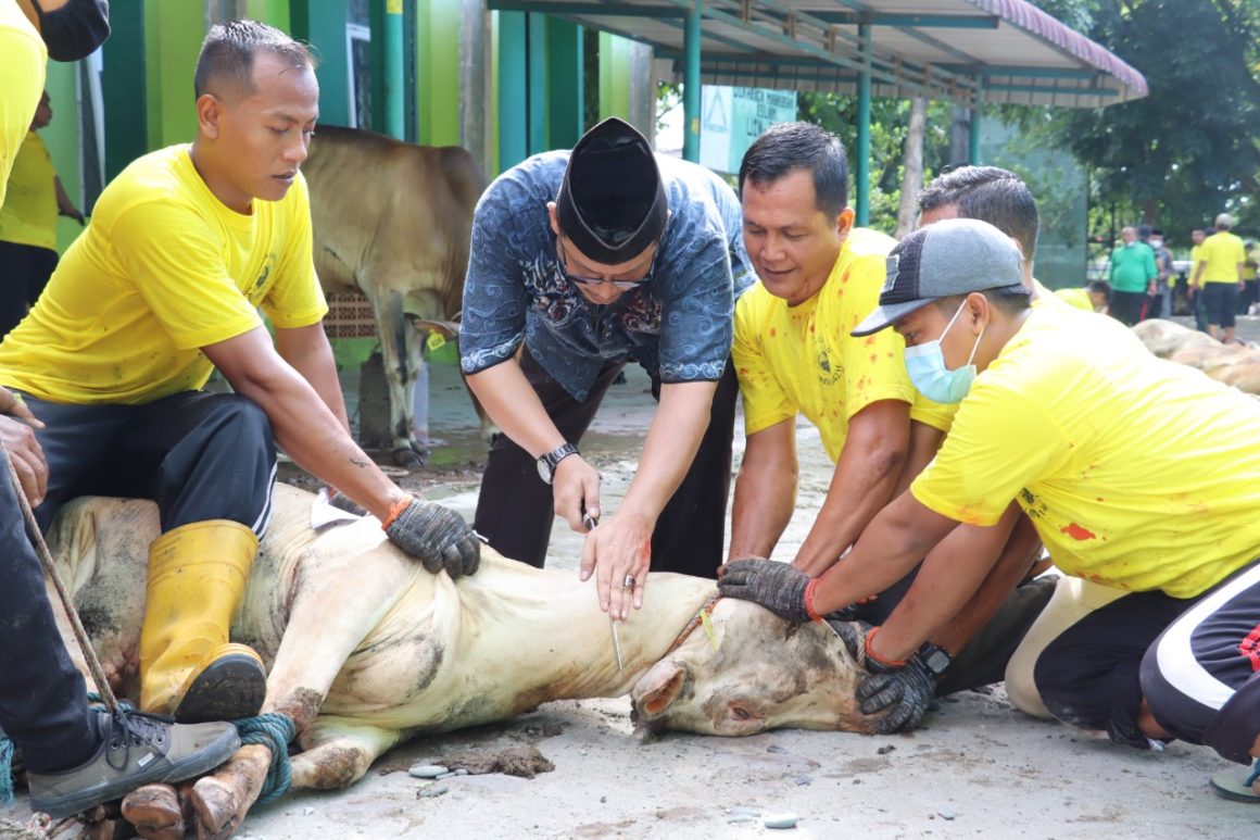 Maknai Ibadah Kurban Demi Keimanan, Kemanusiaan dan Keindonesian UIN Sumut Sembelih 34 Hewan Kurban