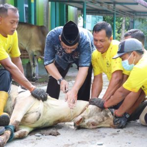 Maknai Ibadah Kurban Demi Keimanan, Kemanusiaan dan Keindonesian UIN Sumut Sembelih 34 Hewan Kurban